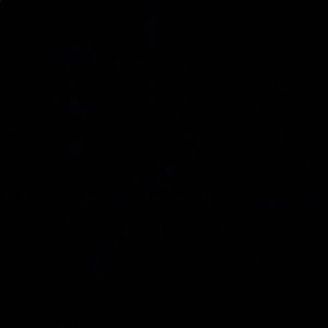 Meet your Posher, Cara